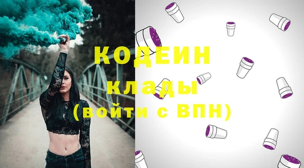 индика Волосово