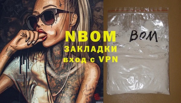 индика Волосово