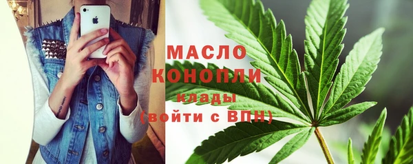 индика Волосово