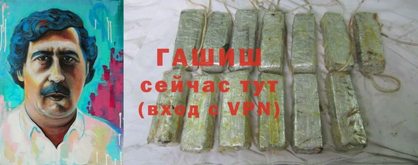 индика Волосово