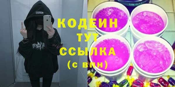 индика Волосово