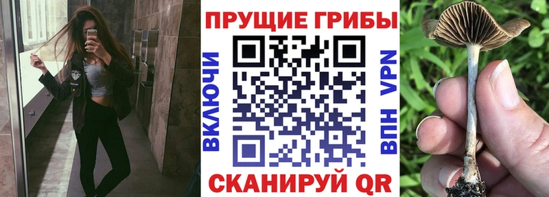 Галлюциногенные грибы ЛСД  Пенза 